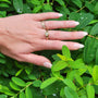 Round Fairy Dust Diamond and Gold Rings | Rebecca Myers Collection