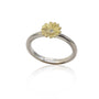 Small Shasta Daisy Ring on half-round band | Rebecca Myers Collection